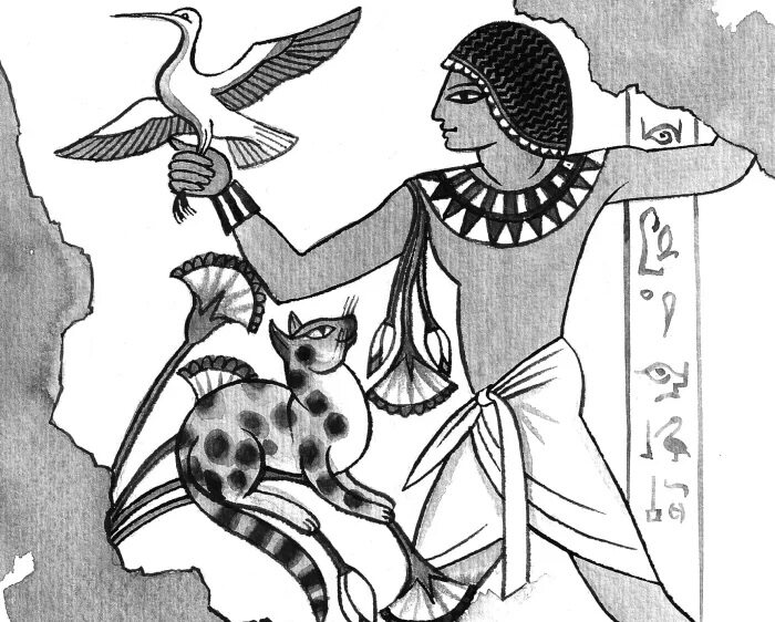 科普：猫的遗传学知识-猫的驯化-猫只是半驯化的