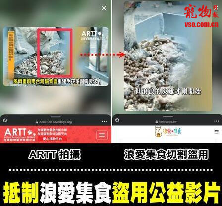 假公益!动保团体控盗用影片引网友同情 饲料网购平台回应了