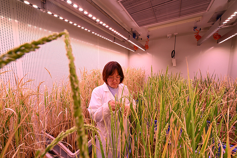 习近平的调研故事「相关图片」