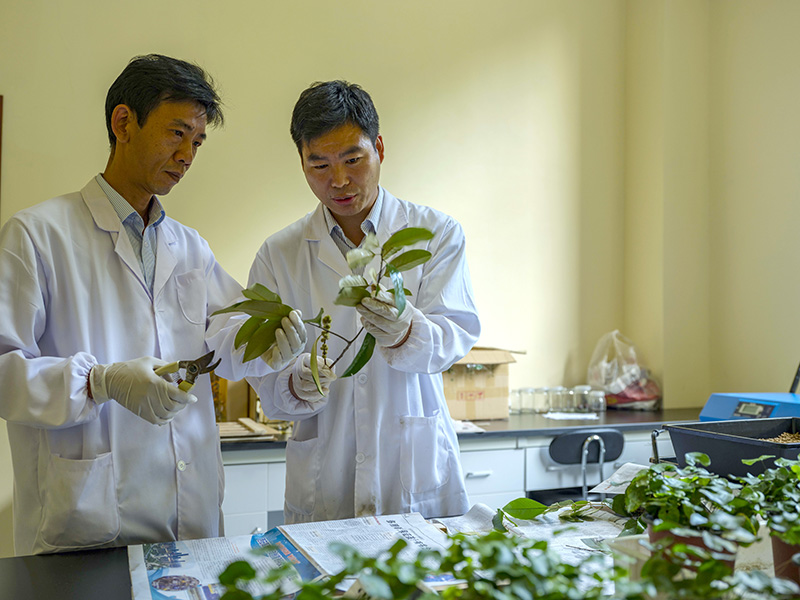 习近平的长江情怀「相关图片」